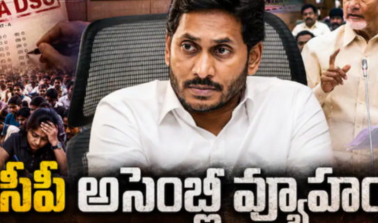 YSRCP Assembly Strategy: డీఎస్సీతో పాటు ప్రభుత్వ వైఫల్యాలపై అసెంబ్లీలోనే వార్ - వైఎస్ జగన్ డిసైడయ్యారా?