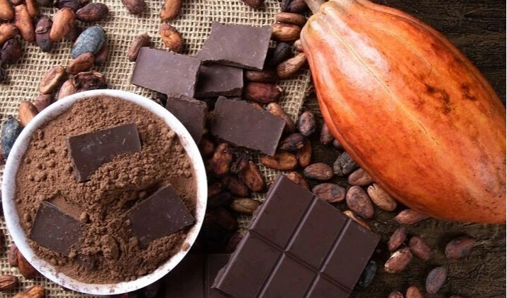 మెదడును చురుగ్గా పనిచేయించే ‘కోకో’