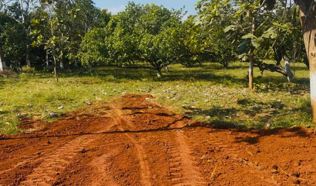 1 acre Land for Sale In Kotha velagada near araku Call 8309634903