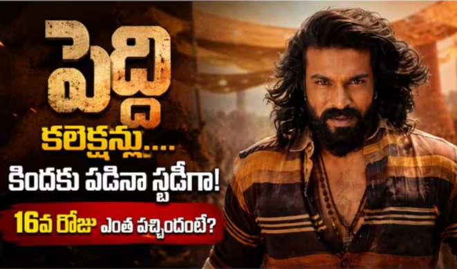 Peddi Collections Day 16: మూడో వారంలో కిందకు పడినా స్టడీగా... రామ్ చరణ్ 'పెద్ది' కలెక్షన్లు... 16వ రోజు ఎన్ని కోట్లు వచ్చాయంటే?