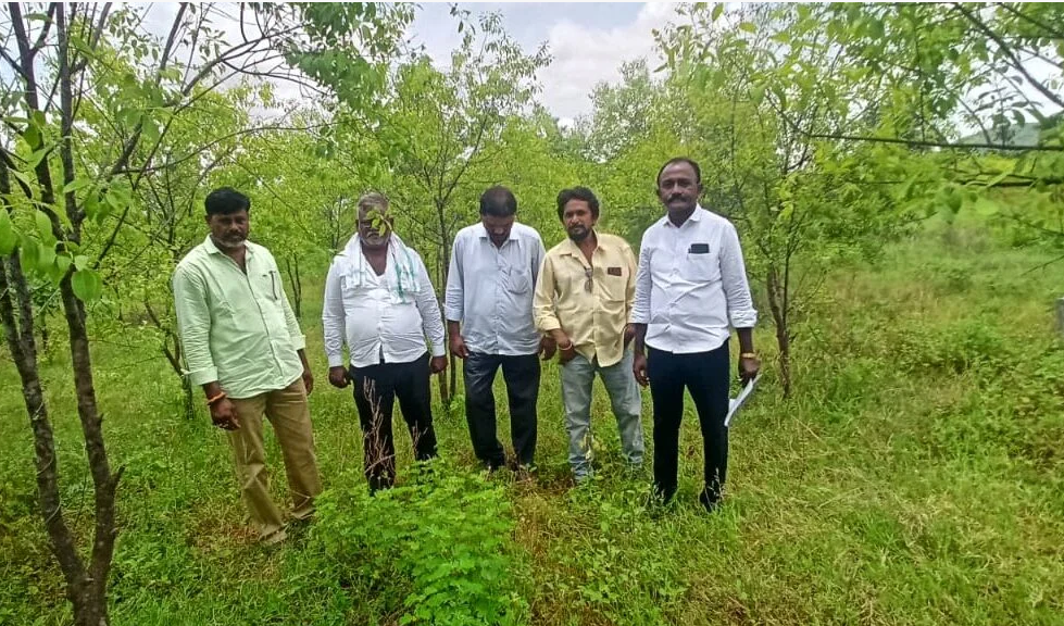 Open Plots For Sale in prakasham Distric chinnarikatla Junction Cell : 88859 99038