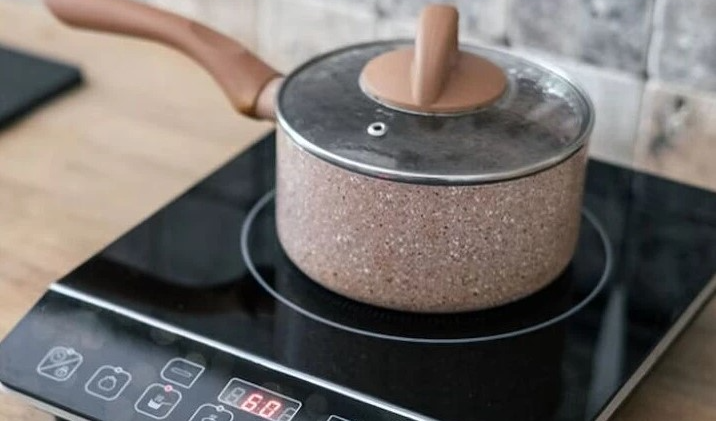 ఇండక్షన్ స్టవ్స్ వాడుతున్నారా?