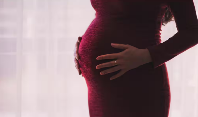 Pregnancy and High BP : ప్రెగ్నెన్నీ సమయంలో అధిక రక్తపోటు.. ఈ 6 ఫుడ్స్ గర్భిణీలు తింటే మంచిదట