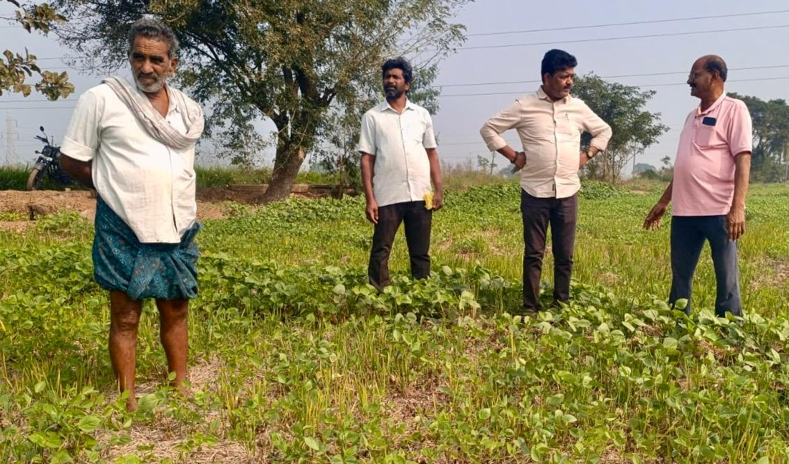 పొలం పిలుస్తుంది కార్యక్రమంలో భాగంగా మంగళవారం  బాపులపాడు మండల వ్యవసాయాధికారి బత్తిన రంగనాథ్ బాబు